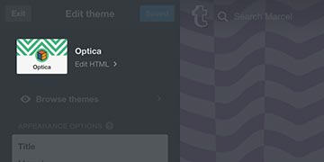 Screenshot of how to edit your theme html